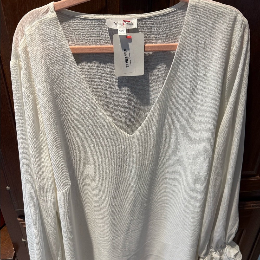 Perfectly Priscilla cream lightweight long sleeve  Top NWT 3xl